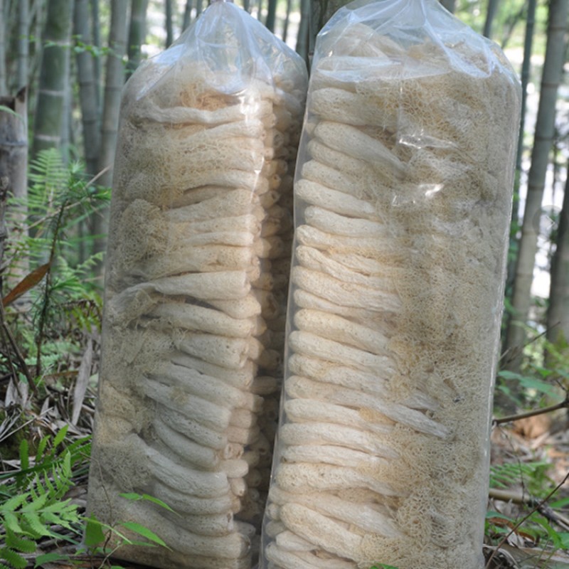 Bamboo Fungus Supplier - Wholesale Prices Bulk