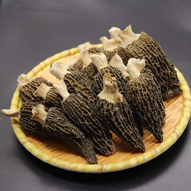 Morel Mushroom Supplier - Dry Whole Morchella