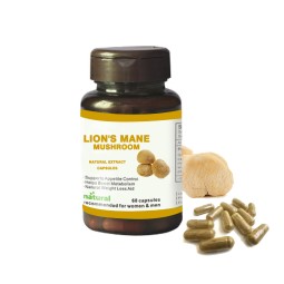 Lions Mane Powder Manufacturer - Tablet Capsule OEM