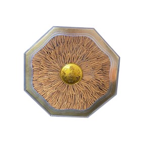 Dry Cordyceps Supplier - High Quality Wild