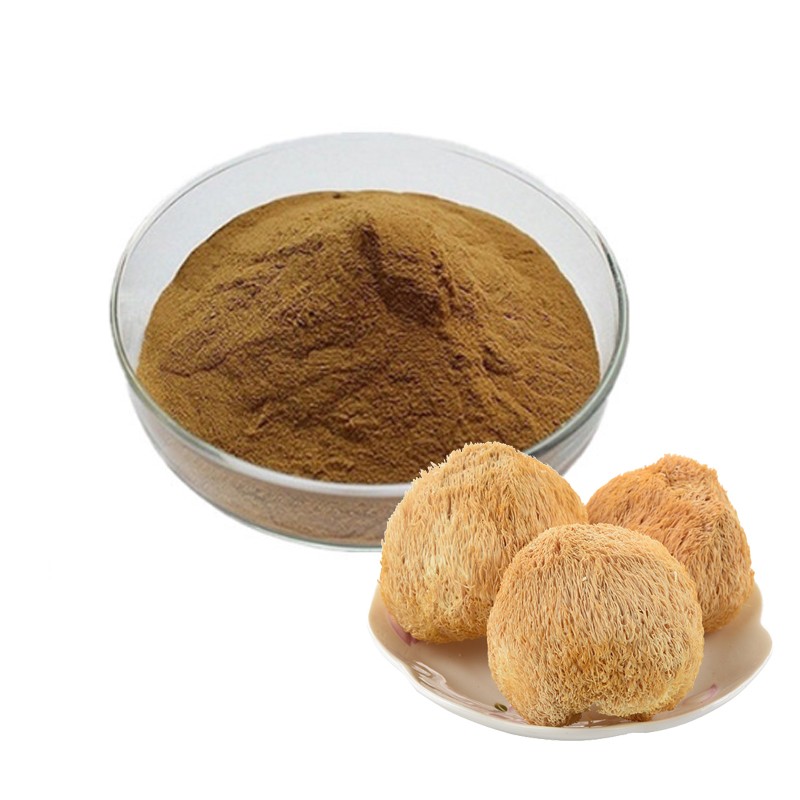 Lions Mane Extract Powder Supplier - 30% Beta Glucans