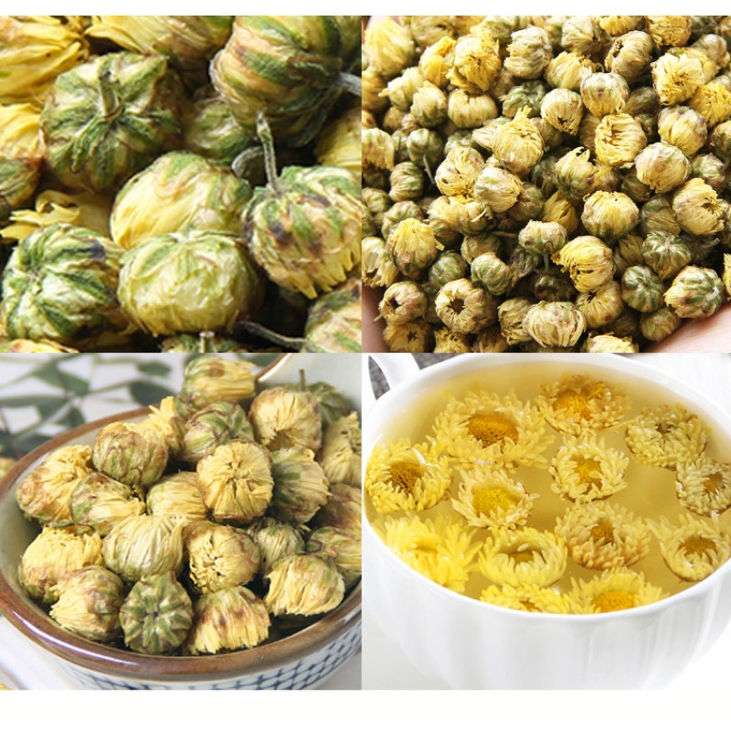 Chrysanthemum Flowers Factory - White Chrysanthemum