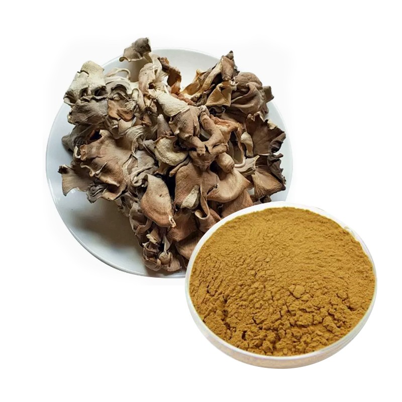 Maitake Powder Supplier - Dried Mushroom Organic