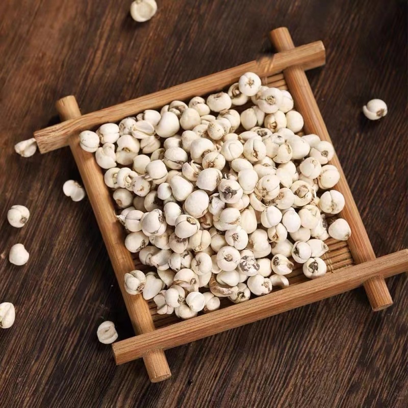 Fritillaria Extract Supplier - Cirrhosa Organic