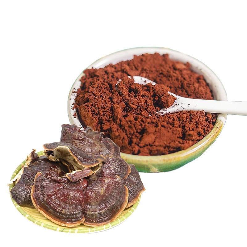 Reishi Extract Manufacturer - Amino Acid Vitamin