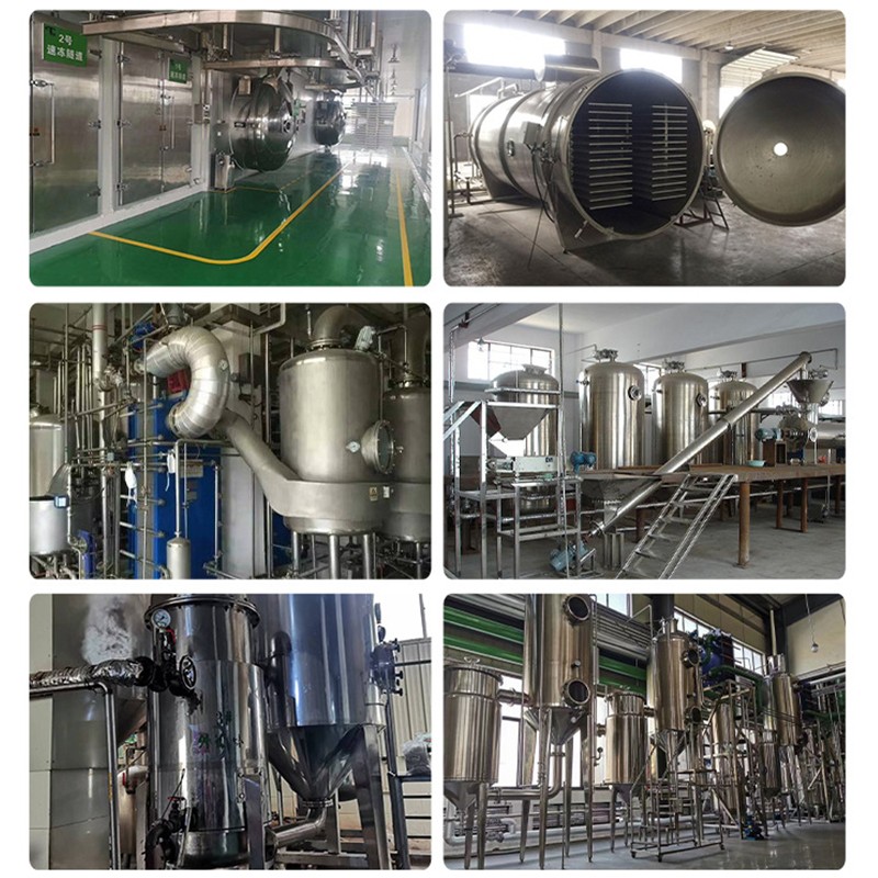 Lions Mane Powder Manufacturer - Hericium Erinaceus