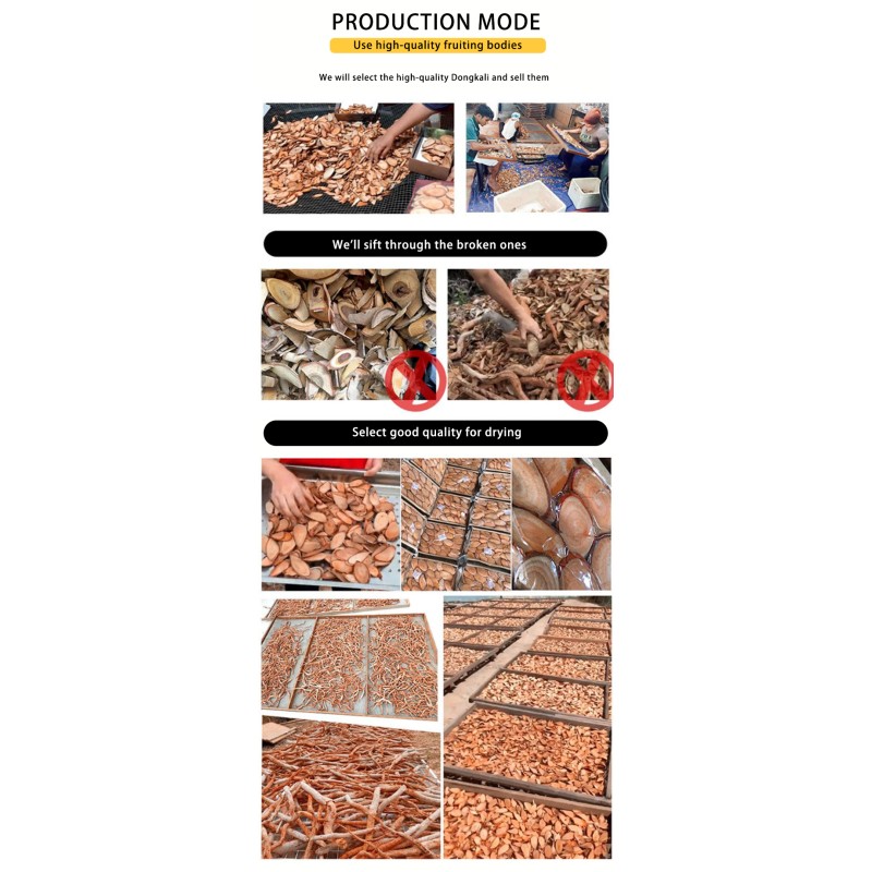 Tongkat Ali Extract Manufacturer - Eurycoma Root