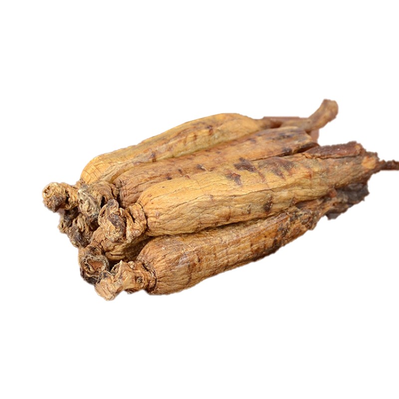 Red Ginseng Slices Supplier - Korean Panax Root