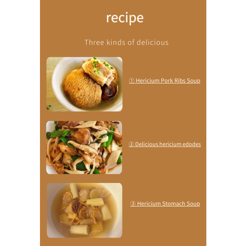 Cocklebur Mushroom Supplier - High Quality Nourishing