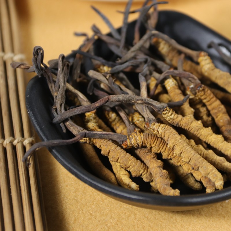 Cordyceps Extract Factory - Sinensis Militaris Blend