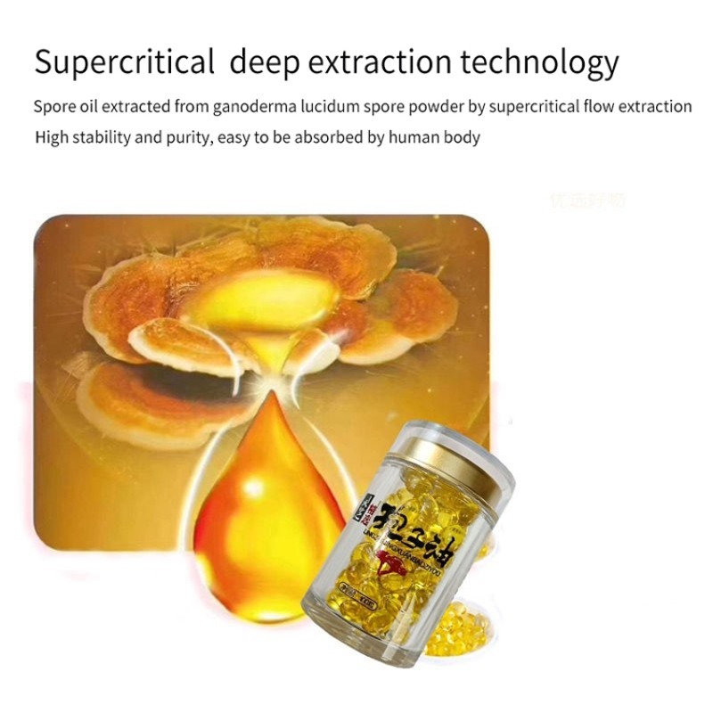 Ganoderma Softgel Supplier - Spore Oil Custom