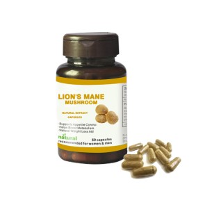 Lions Mane Powder Supplier - Hericium Erinaceus Extract