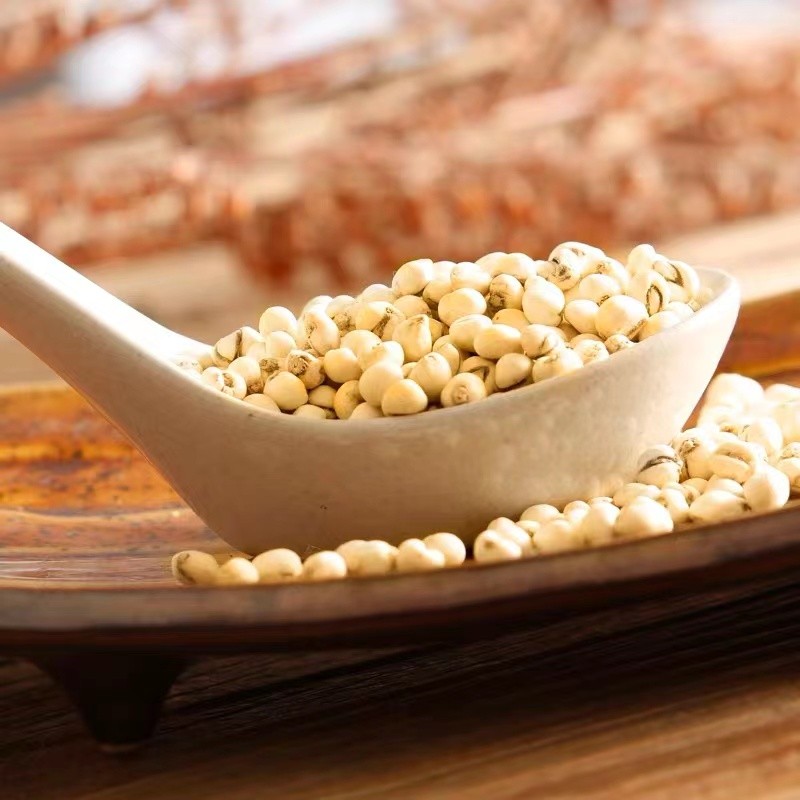 Fritillaria Extract Supplier - Cirrhosa Organic