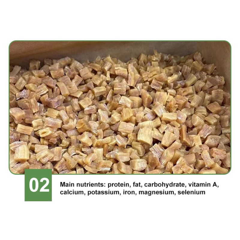 Scallop Meat Factory - Tender Delicious Flavor