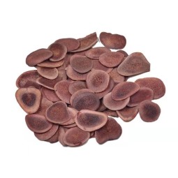 Deer Antler Supplier - Sika Deer Tablets