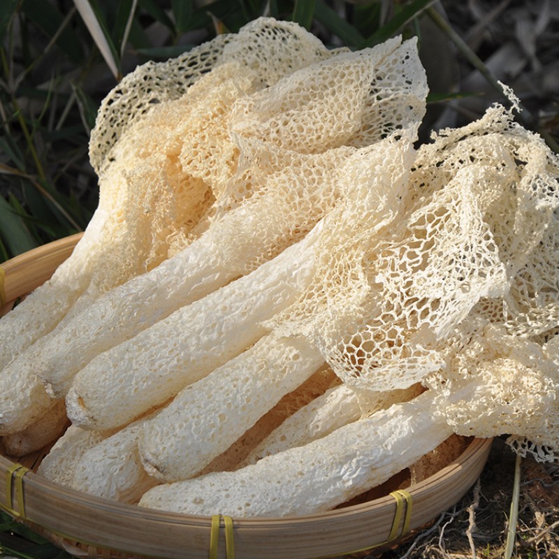 Bamboo Fungus Supplier - Wholesale Prices Bulk