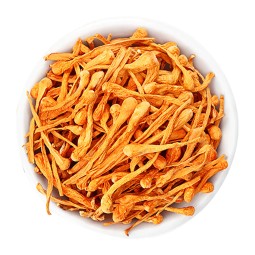 Cordyceps Militaris Factory - Relieve Hypoxia Fatigue