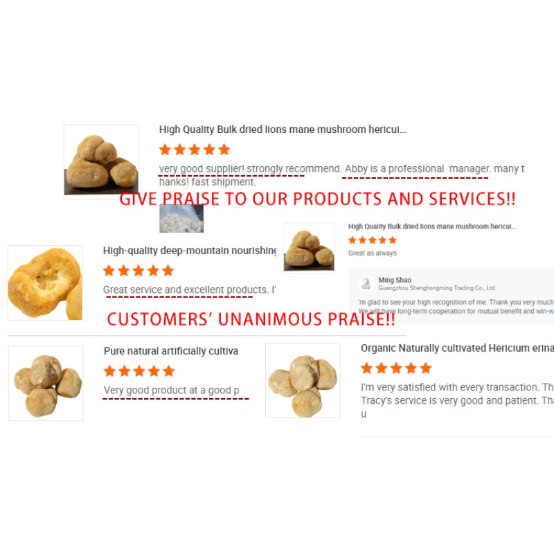 Lions Mane Mushroom Supplier - Deep Mountain Nourishing