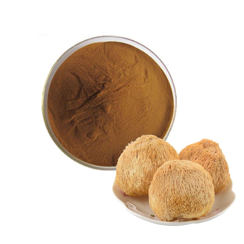 Lions Mane Capsules Manufacturer - Mushroom Extract Organic