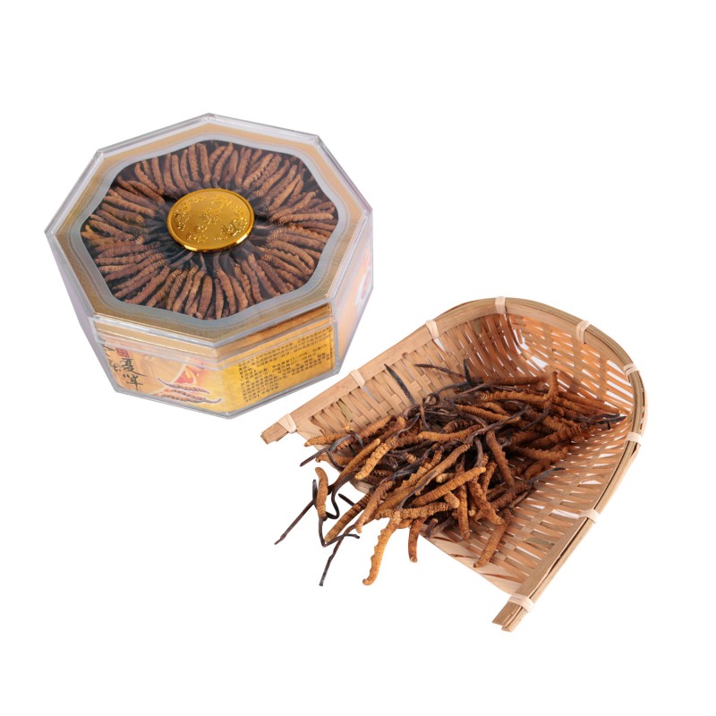 Wild Cordyceps Supplier - Whole Plant Collagen