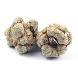 Notoginseng Root Manufacturer - Natural Dried Pseudo