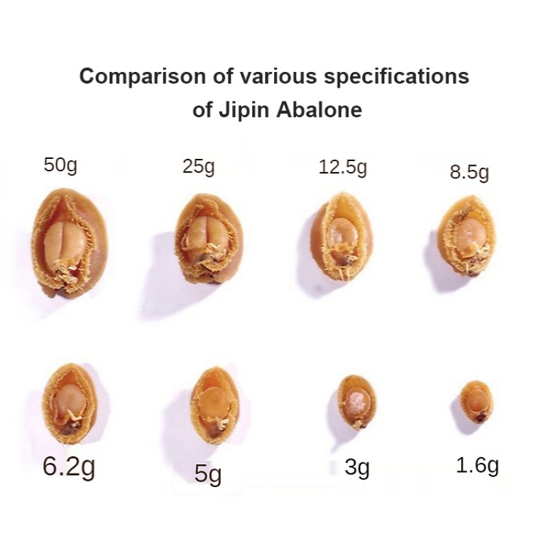 Air Dried Abalone Factory - Yellow Natural Shellfish