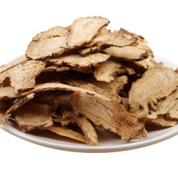Angelica Extract Supplier - Natural Wholesale