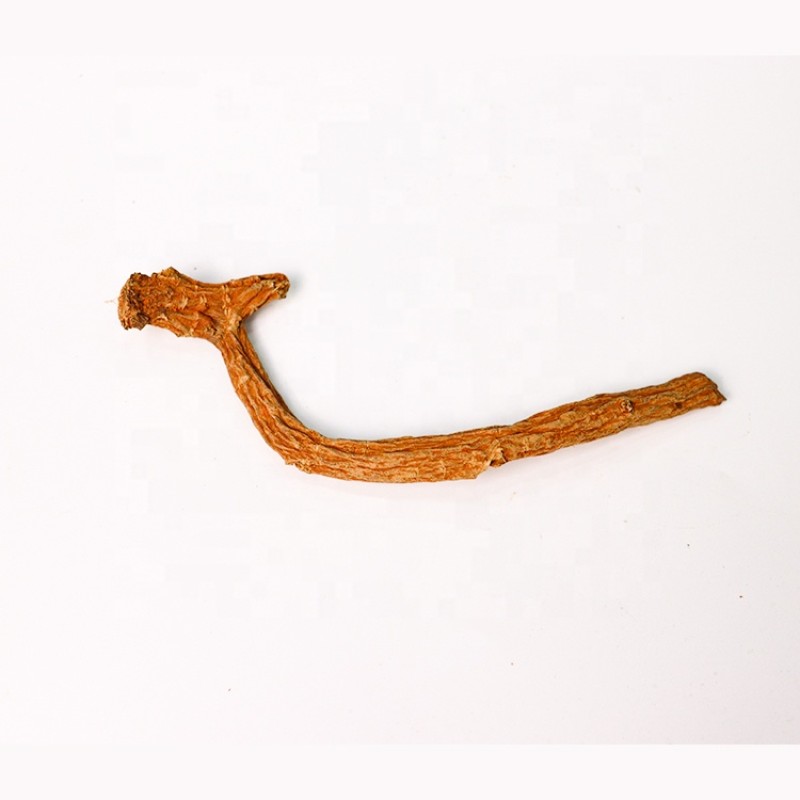 Teasel Root Supplier - Dried Dipsacus Chinese Herb