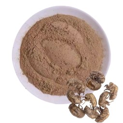 Cicada Slough Extract Supplier - Solvent Extraction Powder