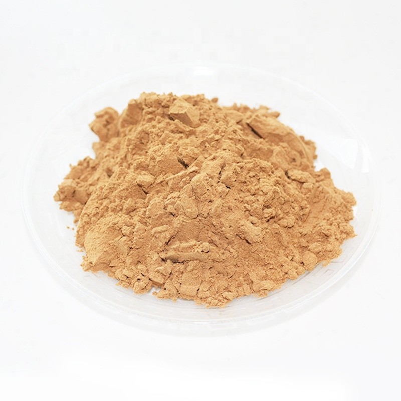 Cordyceps Extract Factory - Chinese Herb Powder