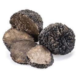 Black Truffle Slice Manufacturer - Yunnan Dried Selected