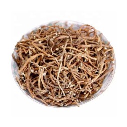 Houttuynia Herb Supplier - Bulk Impurity Free