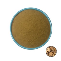 Chuanxiong Extract Supplier - Ligusticum Wallichii Powder
