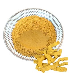 Turmeric Extract Manufacturer - Curcumin 95% Food Grade