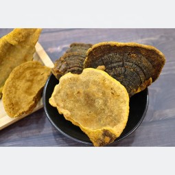 Sanghuangporus Supplier - Dried Phellinus Mushroom