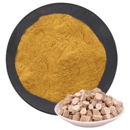 Isatis Root Extract Manufacturer - Traditional Herb Powder