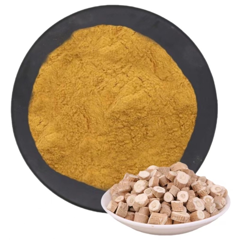 Isatis Root Extract Manufacturer - Traditional Herb Powder