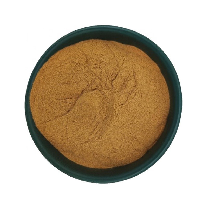 Isatis Root Extract Manufacturer - Traditional Herb Powder