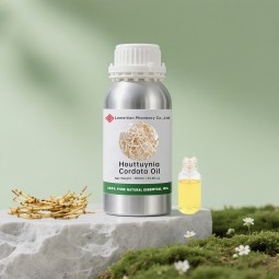 Houttuynia Essential Oil Supplier - Bulk Natural Perfume