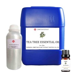 Tea Tree Essential Oil Manufacturer - Aromatherapy Hair Growth