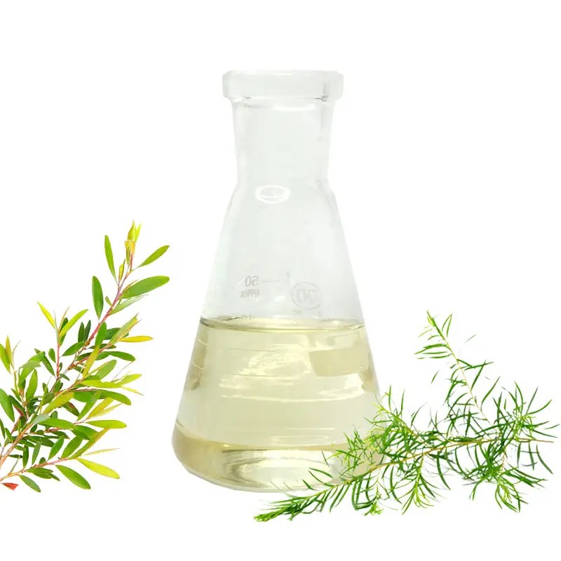 Tea Tree Essential Oil Manufacturer - Aromatherapy Hair Growth