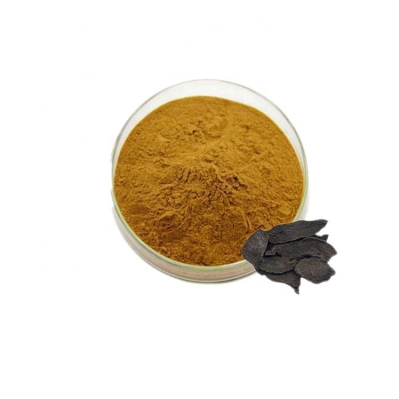 Polygonum Extract Supplier - Herbal Medicine Health
