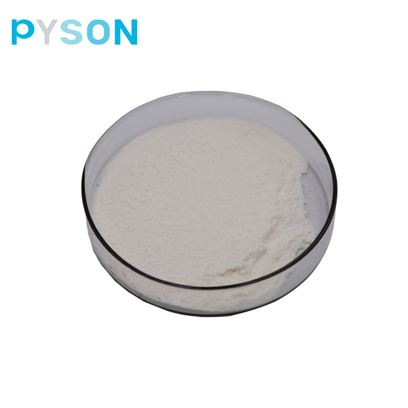 Lactococcus Lactis Supplier - Probiotic Powder Bulk