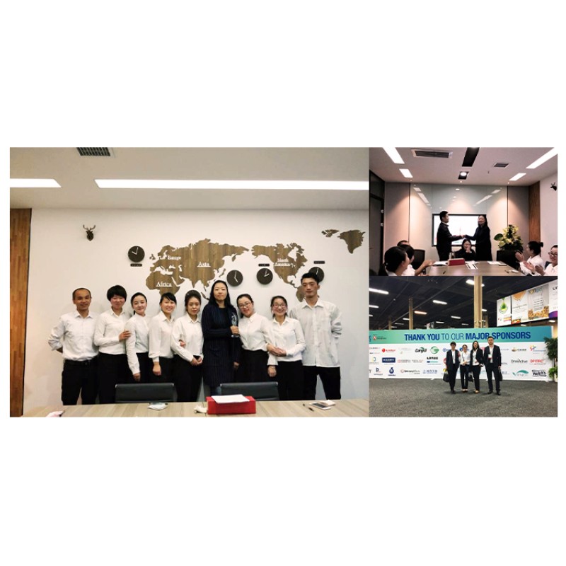 Berberine HCL Factory - 97% Coptis Root Extract