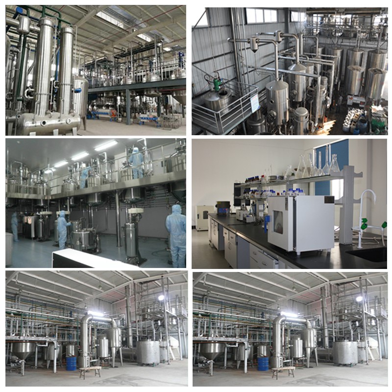 Probiotics Powder Supplier - Organic Bifidobacterium Infantis