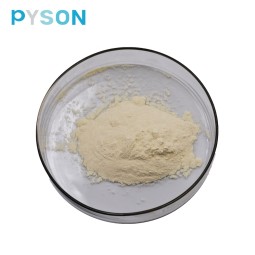 Buckhorn Plantain Extract Supplier - Seed Extract Custom