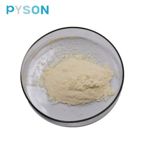 Buckhorn Plantain Extract Supplier - Seed Extract Custom