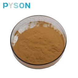 Fenugreek Extract Supplier - 50% Saponins Powder