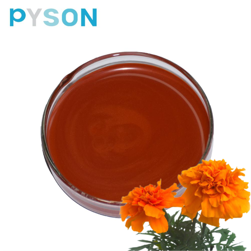 Marigold Extract Manufacturer - Zeaxanthin Oil 10%