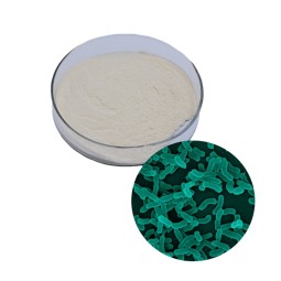 Lactobacillus Rhamnosus Supplier - Water Soluble Powder